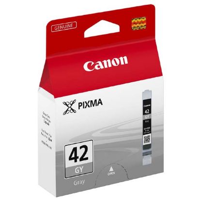 Imagem de Canon original ink CLI-42GY, grey, 6390B001, Canon Pixma Pro-100