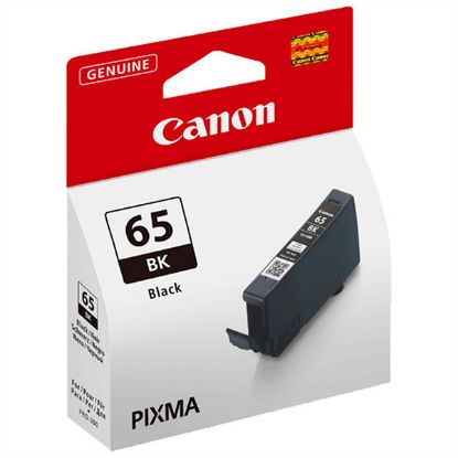 Imagem de Canon original ink CLI-65BK, black, 12.6ml, 4215C001, Canon Pixma Pro-200