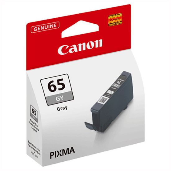 Imagem de Canon original ink CLI-65GY, gray, 12.6ml, 4219C001, Canon Pixma Pro-200