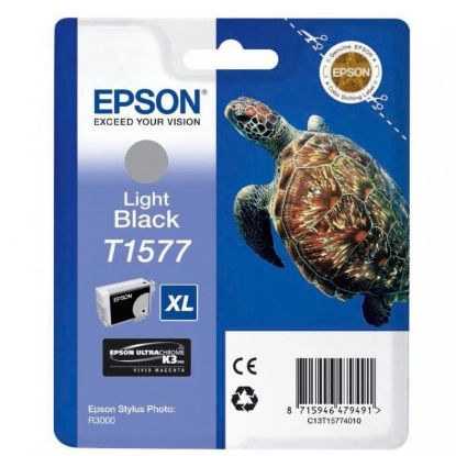 Imagem de Epson original ink C13T15774010, light black, 25,9ml, Epson Stylus Photo R3000