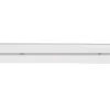 Imagem de Rolo Neon LED 24V DC 120LED/m 50m IP65 Corte cada 5 cm